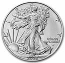 2025 1 oz American Silver Eagle Coin